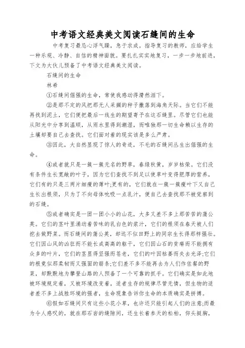 中考语文经典美文阅读石缝间的生命