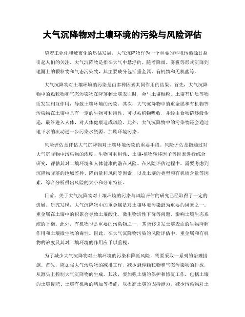 大气沉降物对土壤环境的污染与风险评估