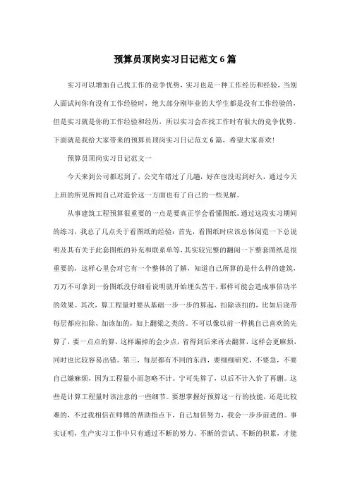 预算员顶岗实习日记范文6篇