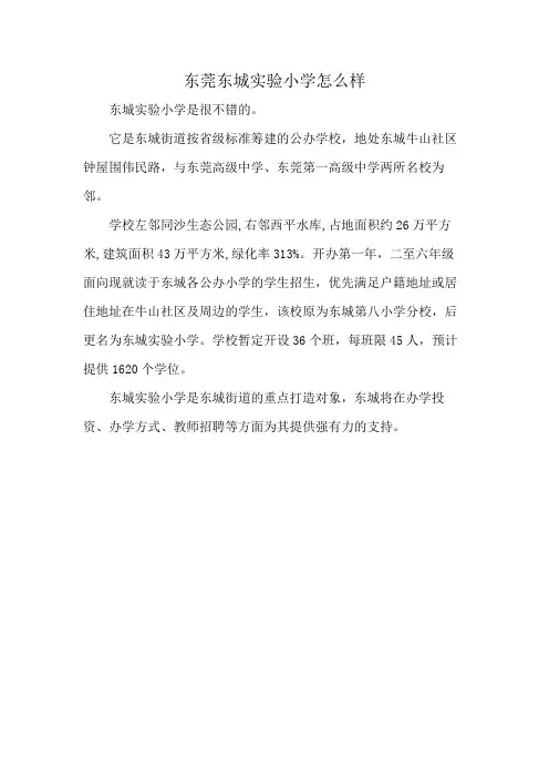 东莞东城实验小学怎么样