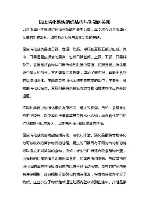 昆虫消化系统组织结构与功能的关系