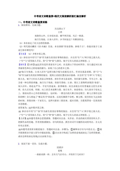 中考语文诗歌鉴赏+现代文阅读解析版汇编含解析