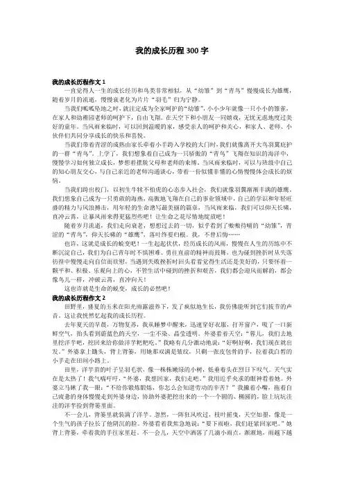 我的成长历程300字