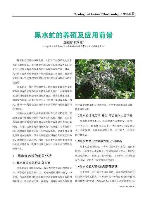 黑水虻的养殖及应用前景