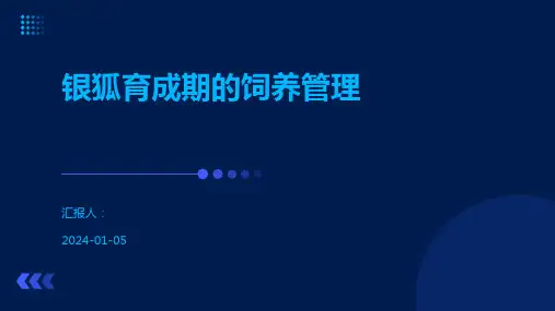 银狐育成期的饲养管理