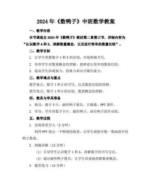 2024年《数鸭子》中班数学教案