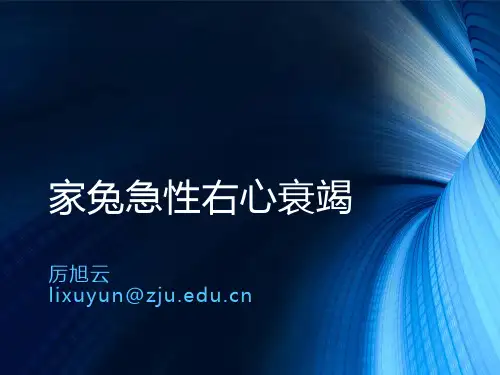 家兔急性右心衰竭