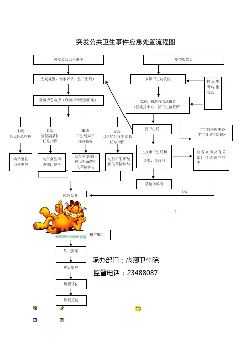 突发公共卫生事件应急处置流程图