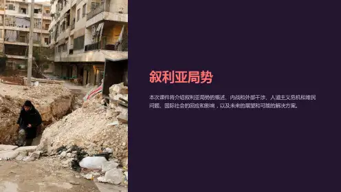 《叙利亚局势》课件