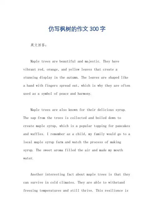 仿写枫树的作文300字