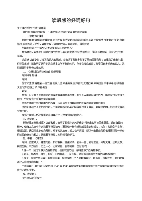 关于读后感的好词好句精选