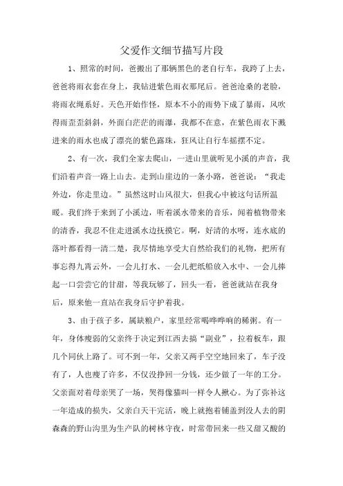 父爱作文细节描写片段