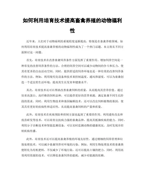 如何利用培育技术提高畜禽养殖的动物福利性