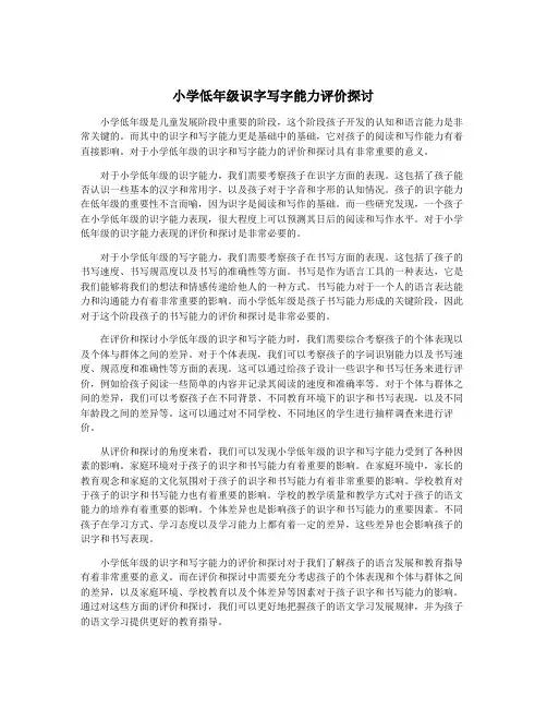 小学低年级识字写字能力评价探讨