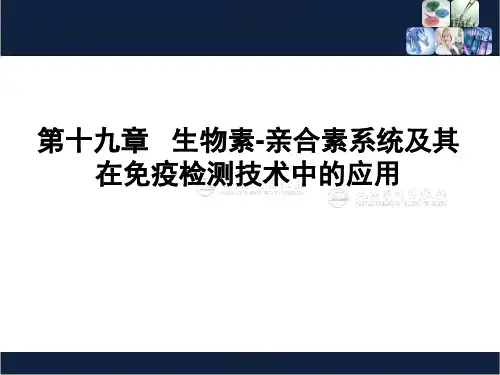 临床免疫学检验-课件-第19章 生物素-亲合素系统及其在免疫检测技术中的应用