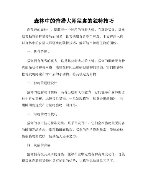 森林中的狩猎大师猛禽的独特技巧