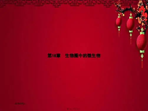 八年级生物 第五单元 第18章 第1节 微生物在生物圈中的作用 