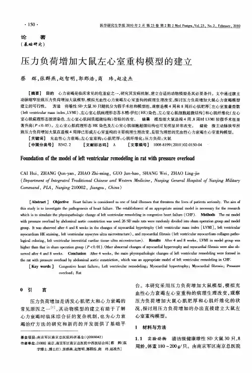 压力负荷增加大鼠左心室重构模型的建立
