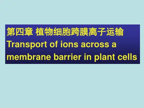 中国农业大学植物生理学本科课件 第四章 植物细胞跨膜离子运输机制