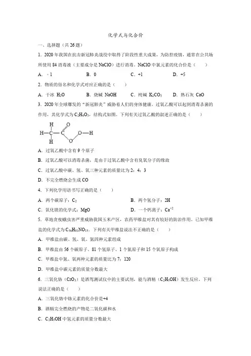 2023年中考化学题型专练：化学式与化合价