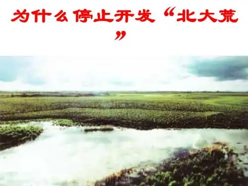 问题研究--为什么停止开发“北大荒