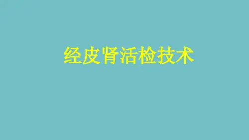 肾活检技术ppt课件