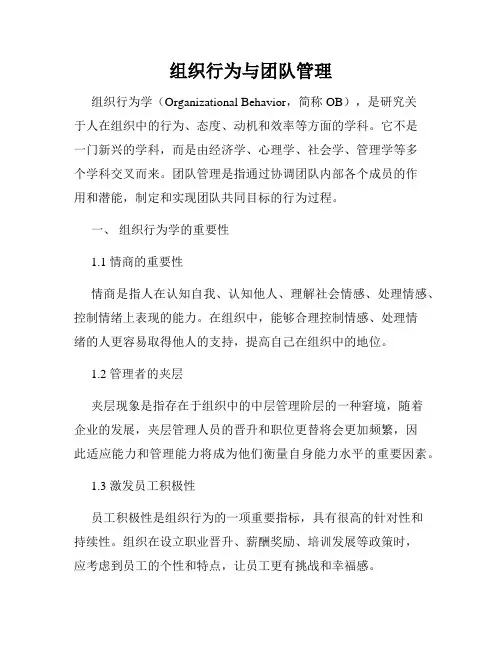 组织行为与团队管理