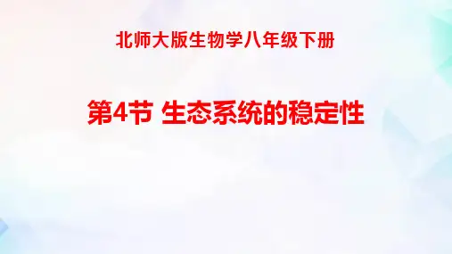 《生态系统的稳定性》PPT优质课件