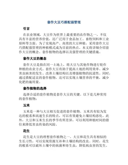套作大豆巧搭配强管理