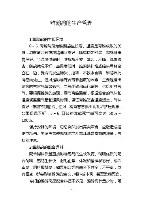 雏鹧鸪的生产管理
