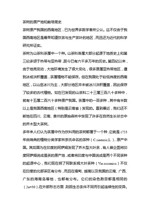 茶树的原产地和栽培简史