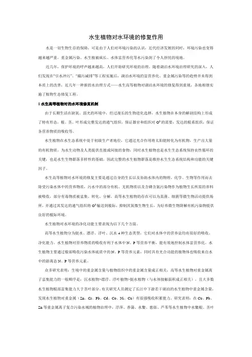 水生植物对水环境的修复作用