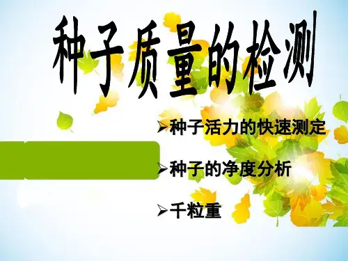种子质量检测