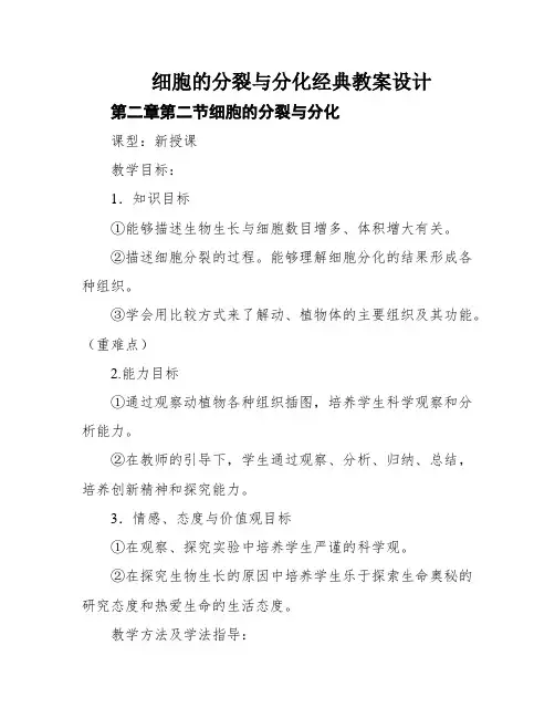 细胞的分裂与分化经典教案设计