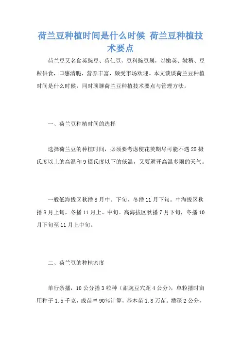 荷兰豆种植时间是什么时候 荷兰豆种植技术要点
