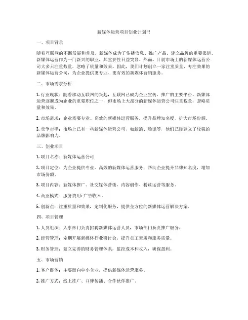 新媒体运营项目创业计划书