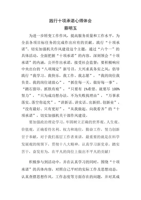 践行十项承诺心得体会