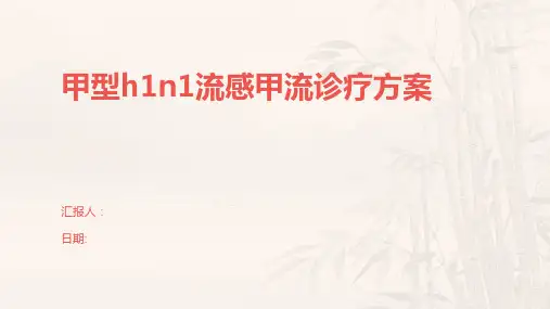 甲型h1n1流感甲流诊疗方案