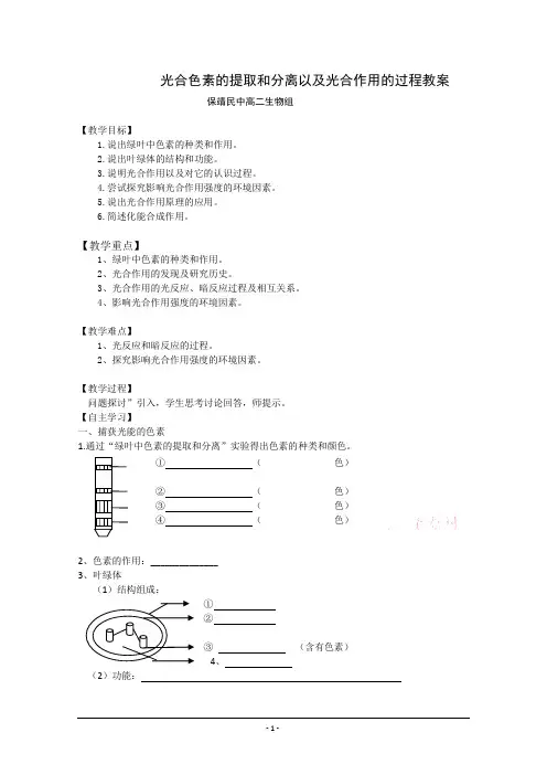 光合色素的提取和分离以及光合作用的过程教案