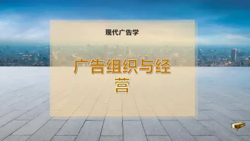 广告组织与经营