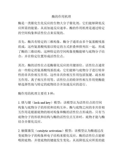 酶的作用机理