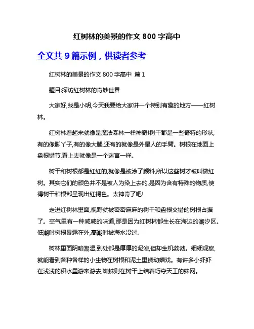 红树林的美景的作文800字高中