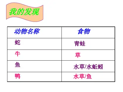 食物链ppt