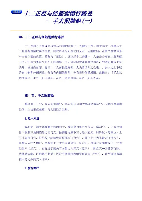 十二正经-手太阴肺经(一)