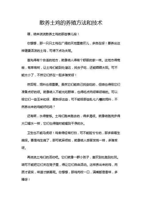 散养土鸡的养殖方法和技术