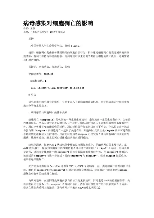 病毒感染对细胞凋亡的影响