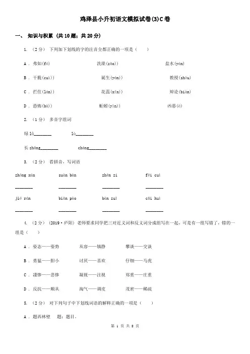 鸡泽县小升初语文模拟试卷(3)C卷