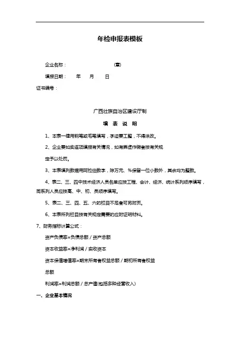 年检申报表模板