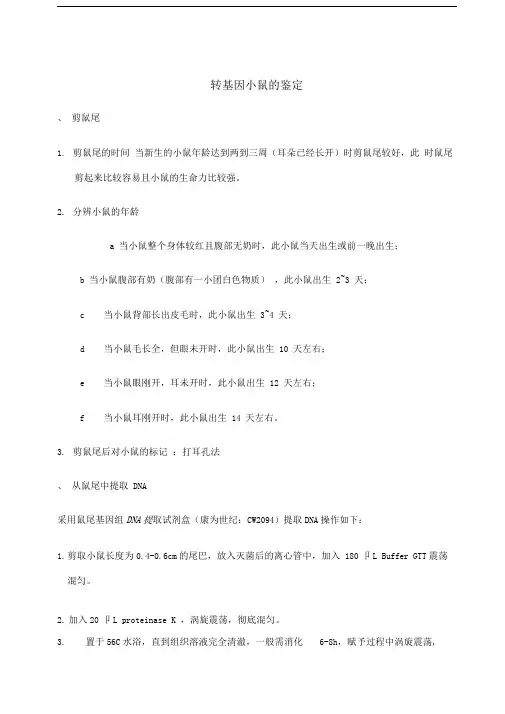 AD转基因小鼠的鉴定