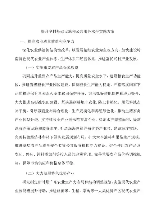 提升乡村基础设施和公共服务水平实施方案